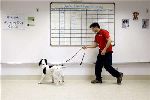 Dogs help sniff out ovarian cancer in Pa. study