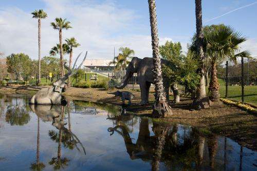 Fossil insect traces reveal ancient climate, entrapment, and fossilization at La Brea Tar Pits