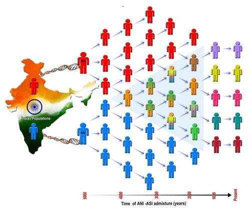 Genetic analysis reveals historic demographic change that shaped today's population in India