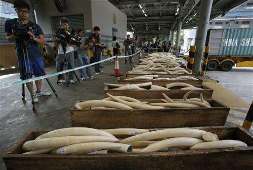 HK nabs $5.3M in ivory, rhino horns, leopard skins