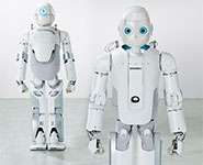 Humanoid robot that sees and maps