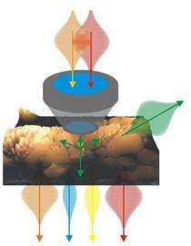 Multimodal nonlinear imaging in the biomedical sciences