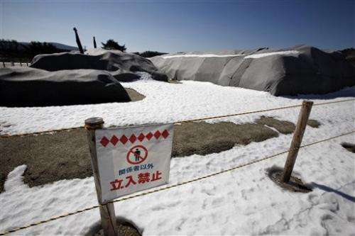 Japan's cleanup lags from tsunami, nuke accident