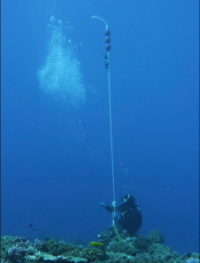 Mānoa: Scientists develop new method of estimating fish movements underwater
