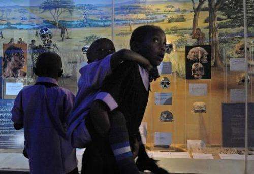 School children look at early-man skeleton fossils on display at the national museum in the capital, Nairobi, on October 18, 201