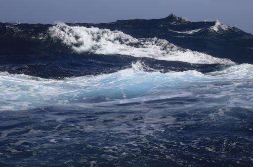 Scientists analyze the extent of ocean acidification