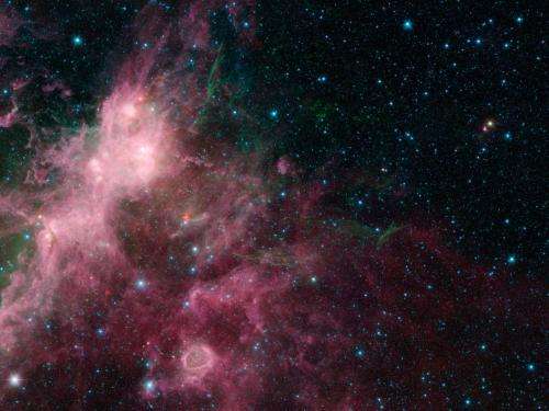 Spitzer sees Milky Way's blooming countryside