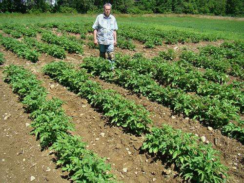 Studies pay off for potato producers