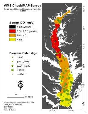 Study shows 'dead zone' impacts Chesapeake Bay fishes