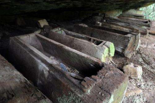 This photo taken on March 24, 2013 shows coffins in a cave at Phnom Pel, Cambodia