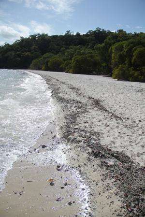 Volcano's legacy still washing up on beaches