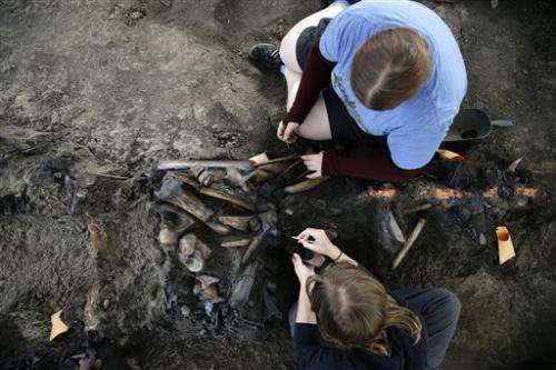 Scientists dig for fossils in LA a century later