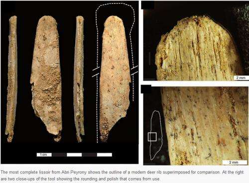 Research finds Neandertals, not modern humans, made first specialized bone tools in Europe