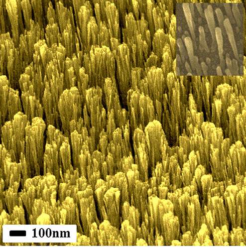 Researchers develop some of the world’s smallest metallic nanorods