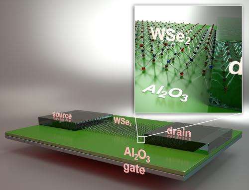 2-dimensional atomically-flat transistors show promise for next generation green electronics