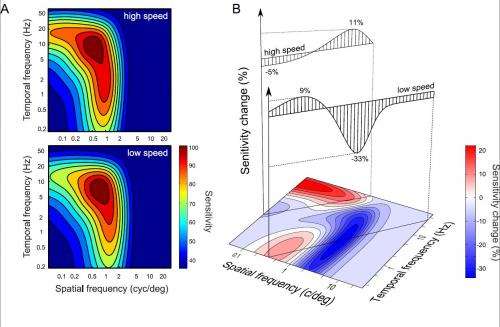 The visual system as economist: Neural resource allocation in visual adaptation