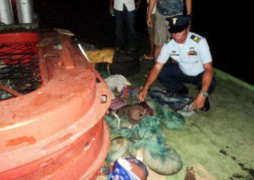 An undated handout photo received April 23, 2013, from PCG shows officers inspecting a boat holding protected pangolins