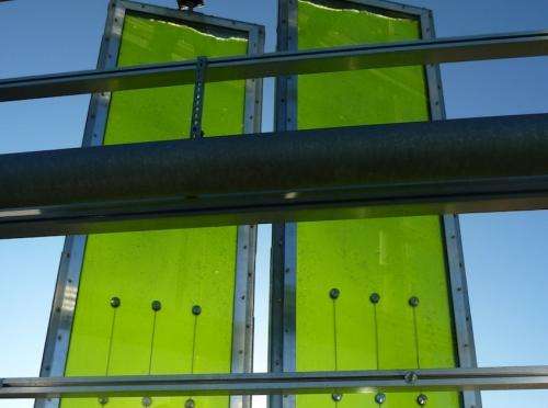 First algae powered building goes up in Hamburg