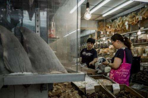 Image taken on September 5, 2012 shows a customer talking to a shopkeeper in a store selling shark fins in Hong Kong