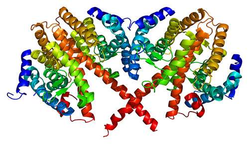 Researchers uncover structure of new protein implicated in diabetes