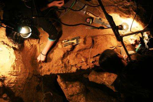 Scientists provide a more accurate age for the El Sidron cave Neanderthals