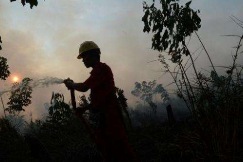 An Indonesian worker douses a forest fire on June 29, 2013 on Sumatra island