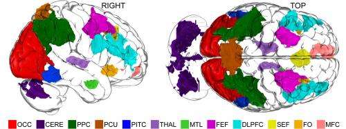 Dartmouth researchers discover how and where imagination occurs in human brains