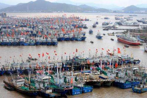 Fishing boats berth in Zhoushan port to avoid  powerful Typhoon Fitow in Zhoushan, in east China's Zhejiang province on October 