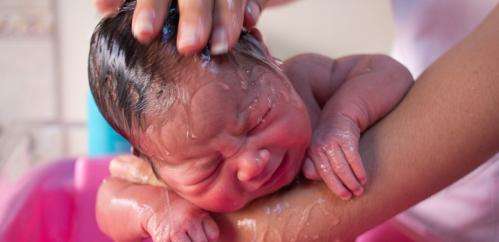 Giving birth to new insights into brain development and disease