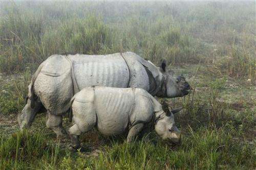 Indian park battles poachers targeting rhino horn