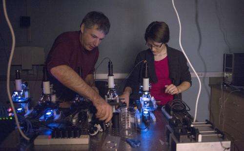 Neuroscientific studies worm their way into physics lab