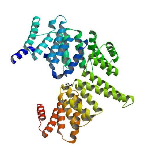 Scientists use CLS to identify key protein in stopping viruses