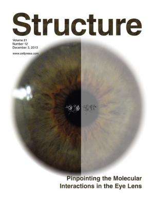 How our vision dims: Chemists crack the code of cataract creation
