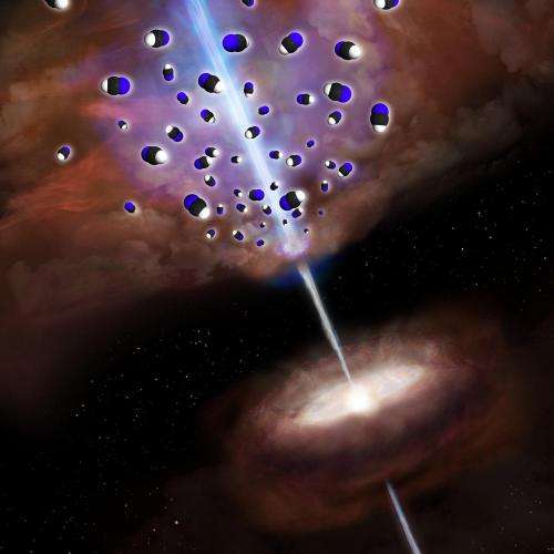 Unique chemical composition surrounding supermassive black hole