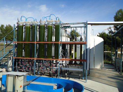 Researchers design photobioreactor to produce biofuel from algae