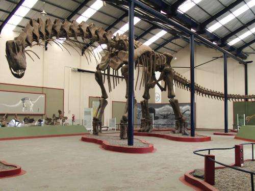 Scientists digitally reconstruct giant steps taken by dinosaurs for the first time