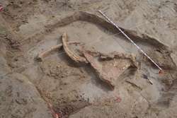 Researchers search for link between mammoth bones, early hunters