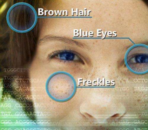 Researchers identify genomic variant associated with sun sensitivity, freckles