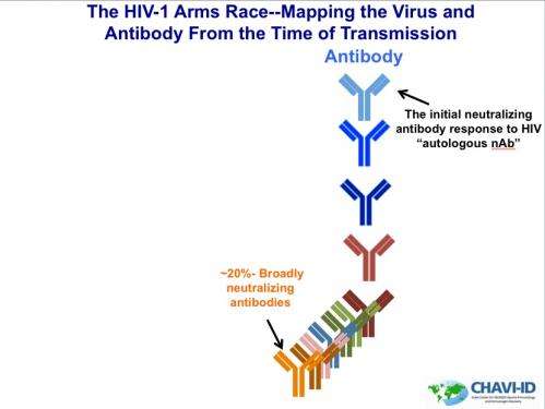 Researchers find potential map to more effective HIV vaccine