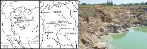 A new species of the hornless rhino found from the Late Miocene of Nakhon Ratchasima, Thailand