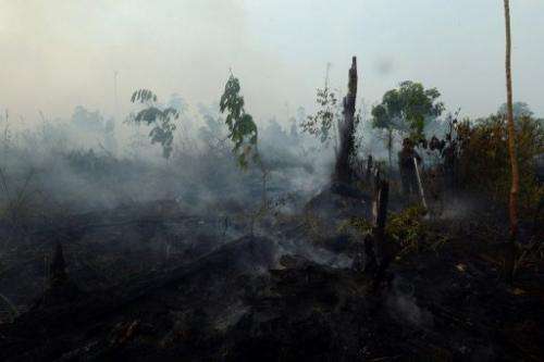 An Indonesian worker from a palm oil concession company extinguishes a forest fire on Sumatra island, June 29, 2013