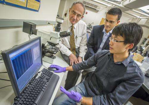 Berkeley Lab researchers discover universal law for light absorption in 2D semiconductors