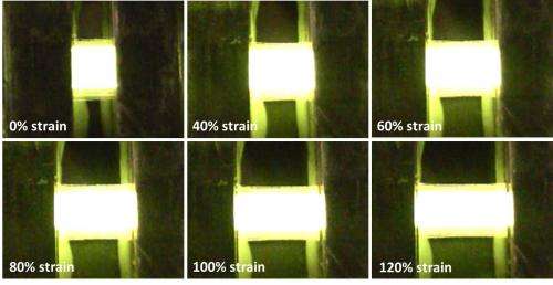Engineers develop a stretchable, foldable transparent electronic display (w/ Video)