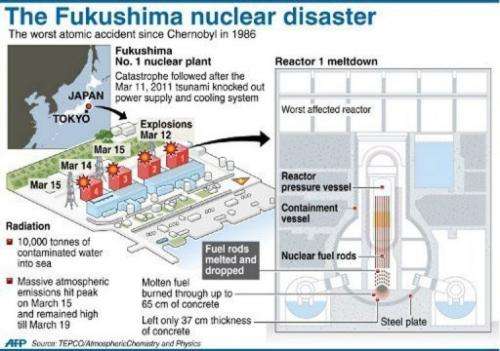 Graphic on the March 11, 2011 nuclear disaster at Japan's Fukushima power station