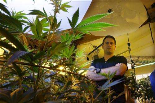 Marijuana's march toward mainstream confounds feds