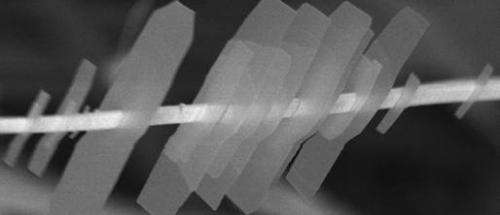 Researchers create semiconductor 'nano-shish-kebabs' with potential for 3-D technologies
