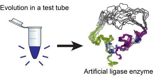 Researchers unveil first artificial enzyme created by evolution in a test tube