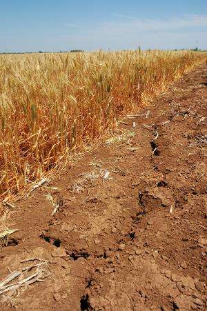 Study examines climate change effects on crop mix shift, transportation