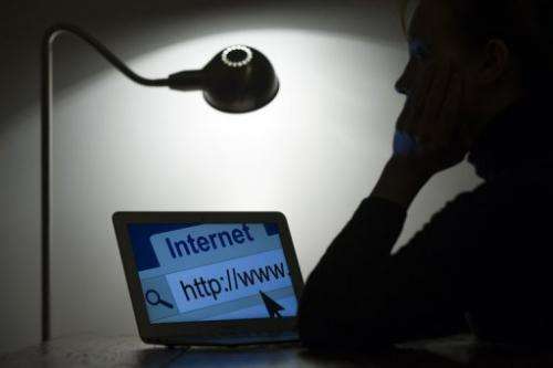 A woman looks at a webpage while connecting on the internet on March 15, 2013 in Paris