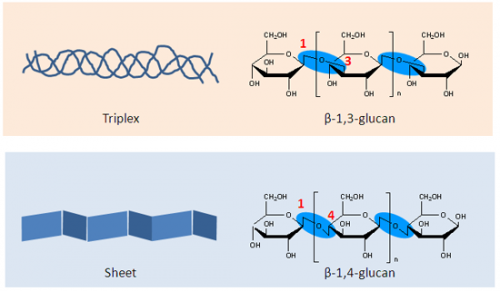 Development of Euglena-based bioplastics